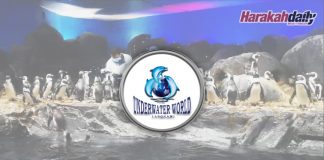Underwater World sambut kelahiran anak penguin