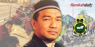 Semut merah yang membumi baktinya