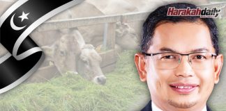 Langkah jangka pendek atasi isu bekalan makanan ternakan