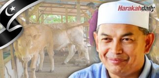 Usaha penuhi keperluan makanan atau dedak lembu