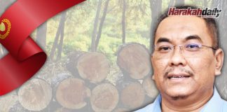 Sanusi jawab tuduhan luluskan kawasan balak