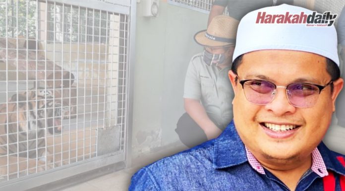 Berbuat baik kepada haiwan