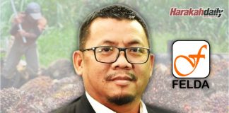 Rayu kerajaan hapus hutang peneroka FELDA