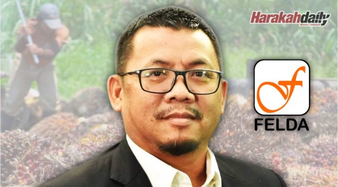 Rayu kerajaan hapus hutang peneroka FELDA