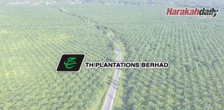 TH Plantations catat untung bersih RM13.99 juta (2020)
