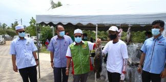 Estet ikan tambah pengeluaran ikan negara