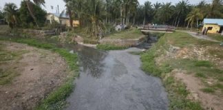 Pesawah rugi akibat Sg Kereh tercemar air najis babi