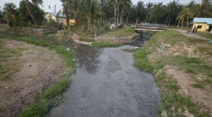 Pesawah rugi akibat Sg Kereh tercemar air najis babi