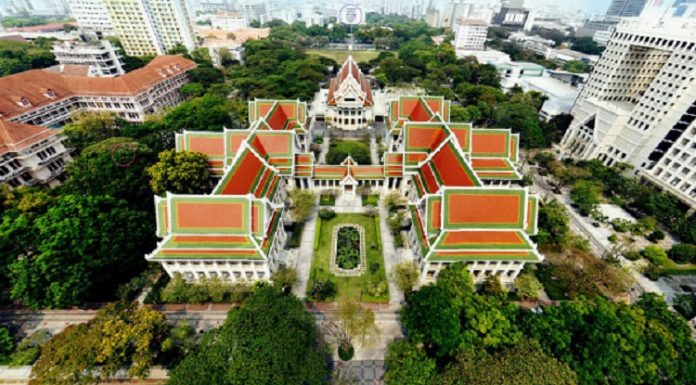 Covid-19: Thailand latih anjing kesan individu tidak bergejala