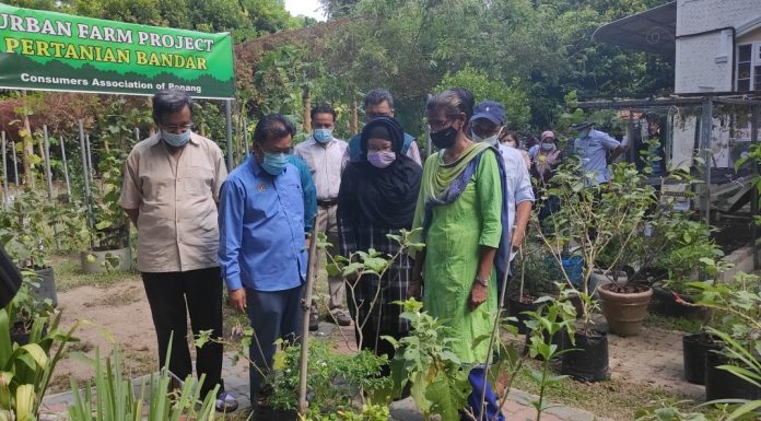 NAFAS mampu atasi masalah bekalan, harga benih padi