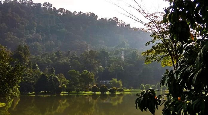 Lindungi hutan untuk imbangi ekosistem, alam semulajadi