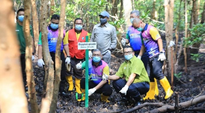 Perak tanam 1.2 juta pokok bakau