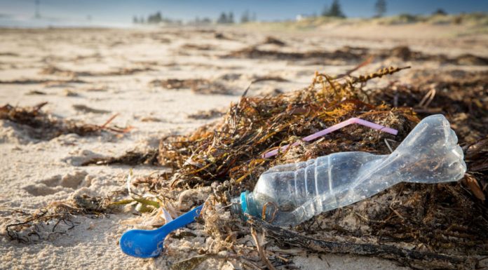 ‘Geng plastik Ija’ keeps Terengganu beaches clean