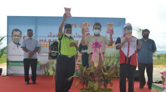 Padi wangi diperluas tingkat pendapatan pesawah