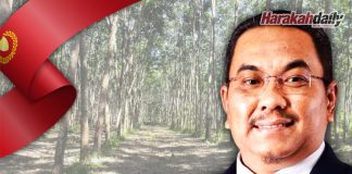 Pelaburan RM2.2 bilion berjaya ditarik ke Kedah Rubber City