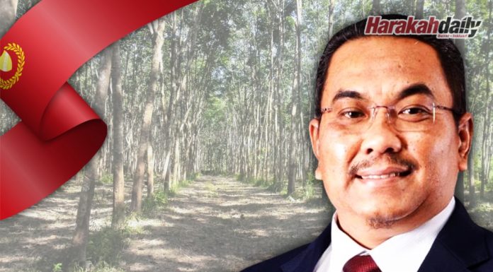 Pelaburan RM2.2 bilion berjaya ditarik ke Kedah Rubber City
