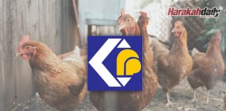 Pemborong, penternak ayam diberi notis KPDNHEP Kedah