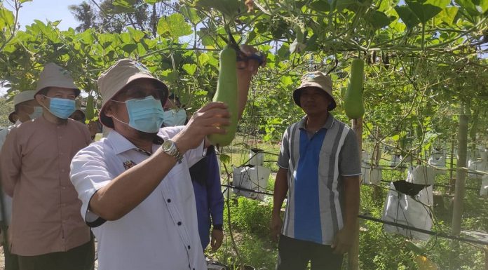 Ladang kontrak: MAFI sasar jualan RM60 juta tahun ini