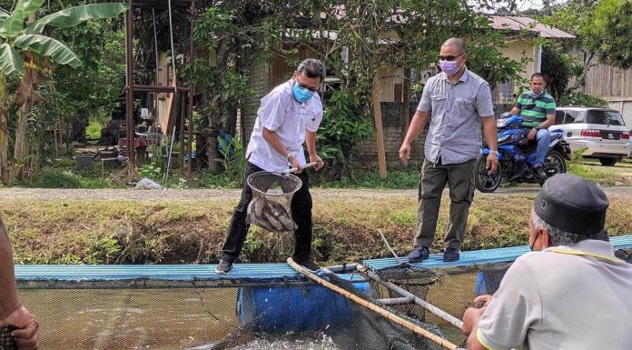 Pastikan ternakan air tawar tidak ganggu penduduk