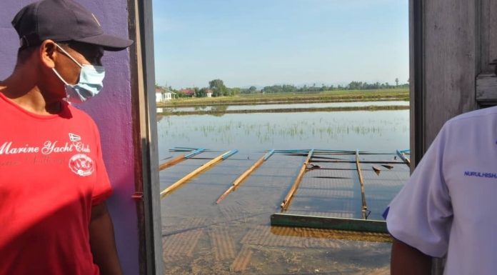 Bumbung rumah penduduk diterbang ribut ke sawah