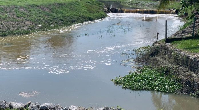 ‘Babi mati dalam ladang, depa lempar terus ke sungai’