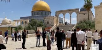 Kezaliman berterusan terhadap Palestin dan inisiatif Aid4Palestine