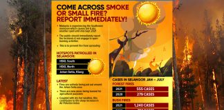 Public urged to report smoke, small fires immediately