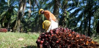 Hapus sebahagian hutang: Hadiah buat peneroka Felda