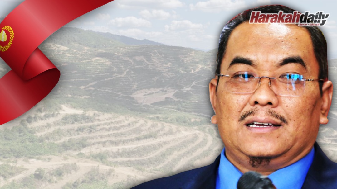 Impak ladang Musang King sedang ditangani - Vimarsana News