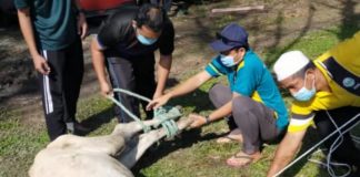 Korban Perdana tanam semangat korban dalam masyarakat