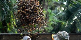 FELDA perlu adil, tepati janji kepada peneroka