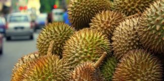 Panas: Pengeluaran durian di Kedah dijangka merosot