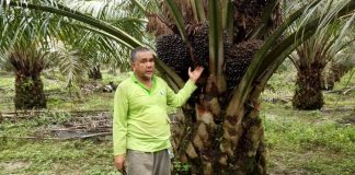 Pinjaman: Peneroka lega kerajaan PN prihatin