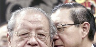 Kit Siang liabiliti DAP – Dr Wan Rohila