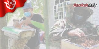 Pesara buat duit hasil ternak kelulut keliling rumah