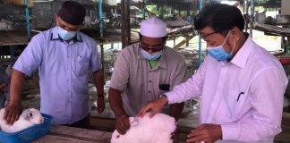 Lebih 80 peratus penternak arnab anak muda
