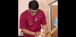 Kitty’s Foodbank helps cat lovers affected by pandemic