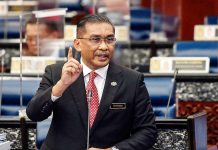 Kepala air Gunung Jerai bukan kerana kegiatan manusia