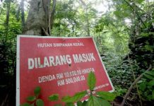 Orang Asli tetap tolak hutan simpan dimajukan