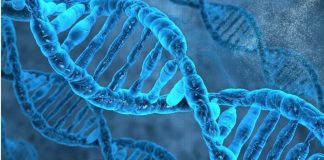 Setting up of Malaysian Institute of Genomes and Vaccines timely