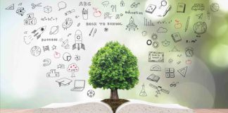 Educators must adapt to ensure country’s education remains relevant