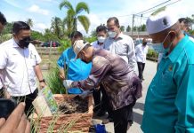 32,000 pekerja asing ditempatkan di ladang sawit
