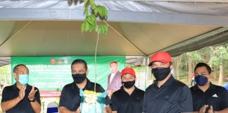 Rebat elektrik: Kerajaan belum buat keputusan