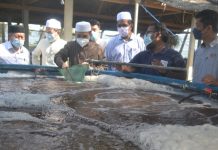 Pusat Pengembangan Akuakultur hasil 8.5 juta benih ikan