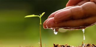 Plant a tree while at Puncak Titiwangsa R&R – JPSM