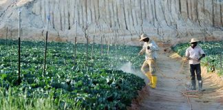 Gov’t seeks solution to higher pesticide, fertiliser prices