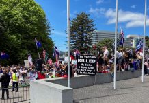 Bantah mandat vaksin Covid-19: Warga New Zealand tunjuk perasaan