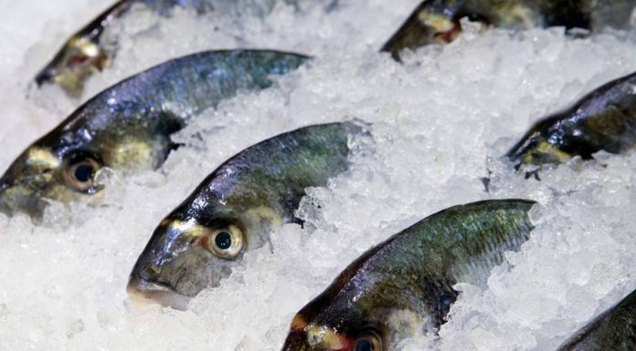 Boxed fish no small fry when fresh fish gets pricey