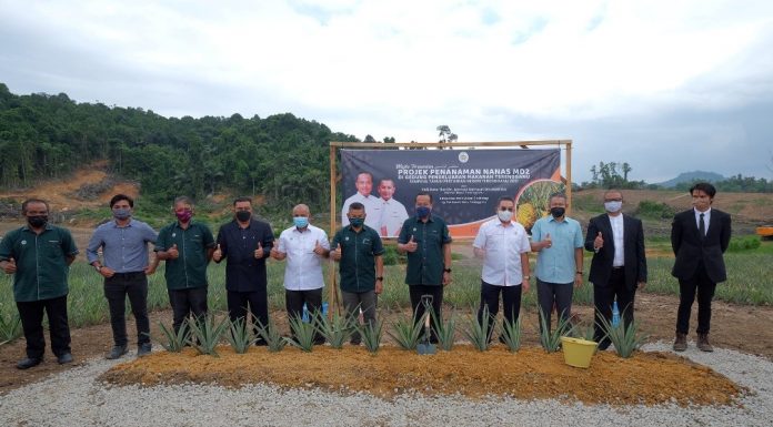Terengganu berjaya hidupkan tanah terbiar