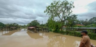 Flood: Cleaning the house twice in 24 hours
